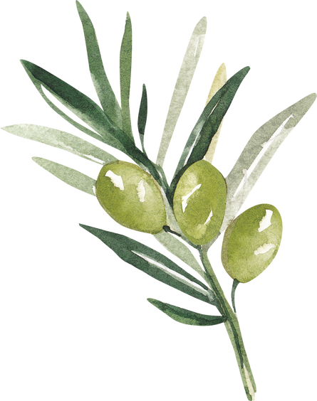 Green Olive Branch Watercolor